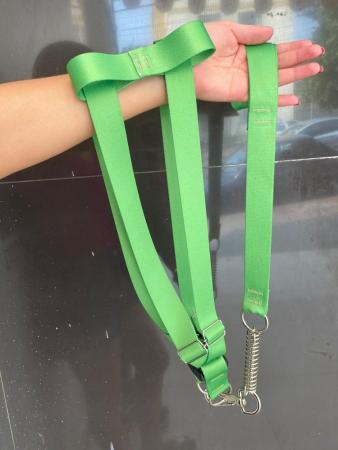 Guia de cetim verde